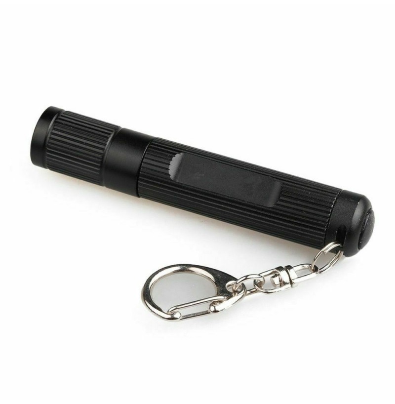 Lights Working Torches Keychain Light Camping Lamp Flashlight Penlight